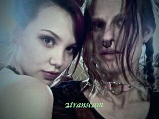 2_trans_cam