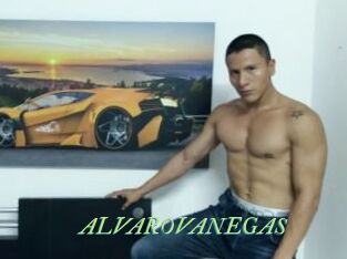 ALVAROVANEGAS
