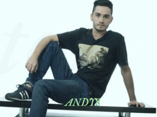 ANDY8