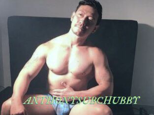 ANTHONYSUBCHUBBY