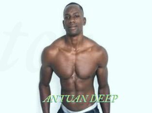 ANTUAN_DEEP Tel Coquin