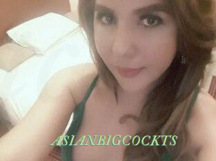 ASIAN_BIGCOCK_TS