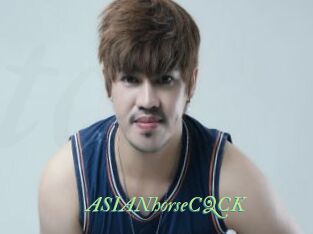 ASIANhorseCQCK