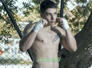 AdamBull