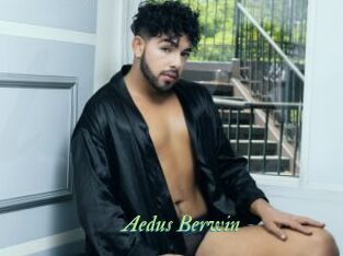Aedus_Berwin