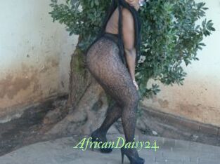 AfricanDaisy24