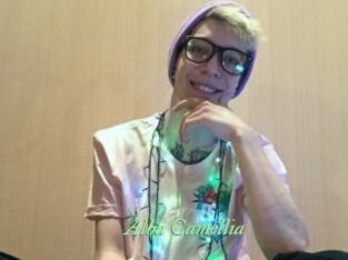 Alba_Camellia