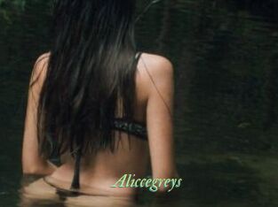 Aliccegreys