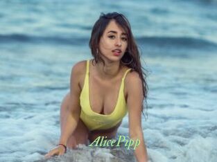 AlicePipp