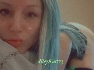 AlleyKat113