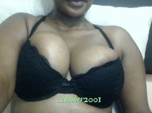 Amber2001