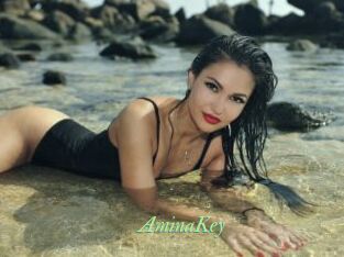 AminaKey