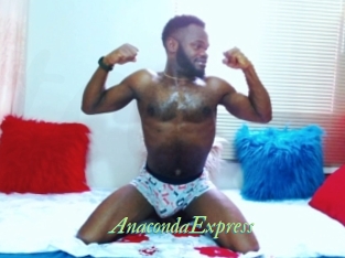 AnacondaExpress