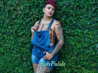 AndyPulido