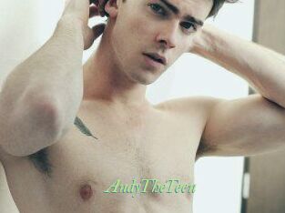 AndyTheTeen