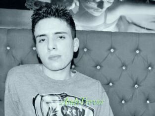 AndyTrevor