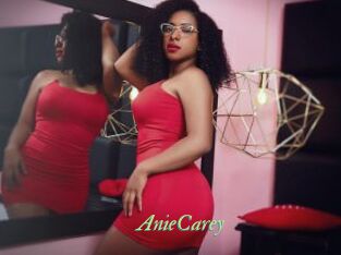 AnieCarey