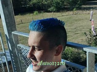 Anto013216
