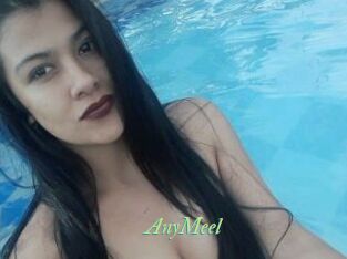 AnyMeel