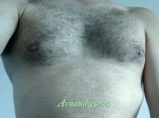 Arnaud95300