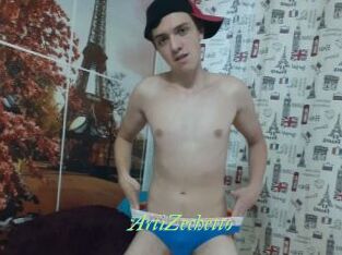 ArtiZechetto