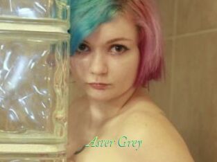 Aster_Grey