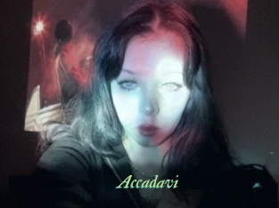 Accadavi