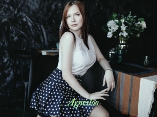 Agnesloo