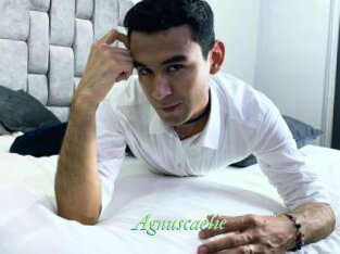 Agnuscaelie