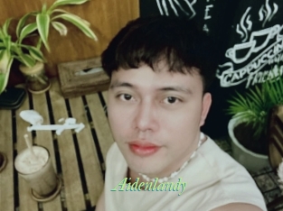 Aidenlandy