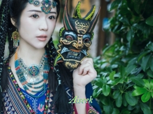 Aiseek