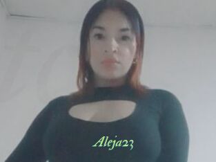 Aleja23