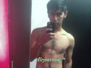 Alejburning