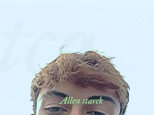 Allen_starck