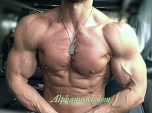 alphamuscledom Tel Coquin