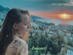 Amismett