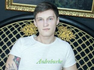 Andreburke