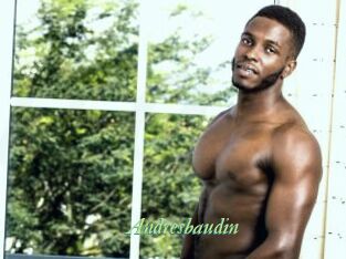 Andresbaudin
