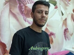 Andresgreys