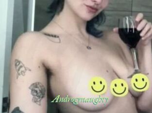 Androgynaughty