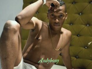 Andybony