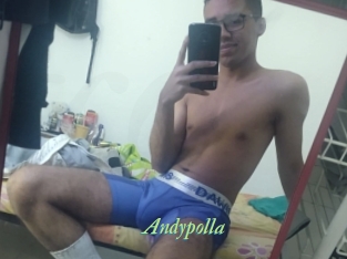 Andypolla