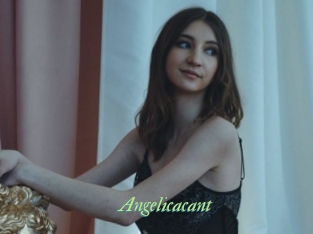 Angelicacant
