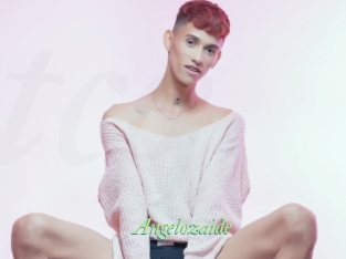 Angelozaide