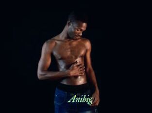 Anibig