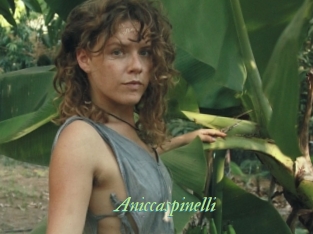 Aniccaspinelli