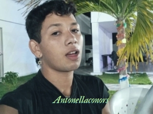 Antonellaconors