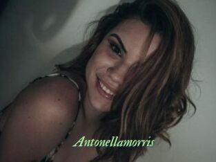 Antonellamorris