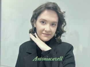 Antoniacavell