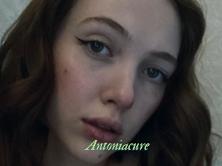 Antoniacure